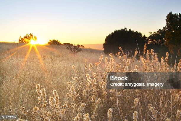 Sunset Meadow 風景 - オレンジ色のストックフォトや画像を多数ご用意 - オレンジ色, カラー画像, サンディア山脈