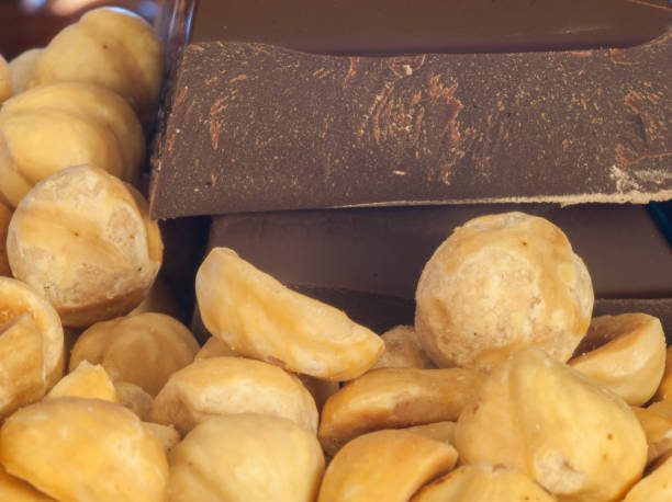 istock macro detail of hazelnuts and chocolate 912805962