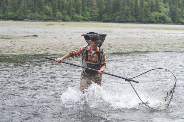 istock Alaskan Net Fishing! 912809126
