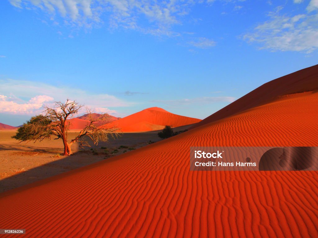 붉은 모래 언덕 나 사막 나미비아 나미비아에 대한 스톡 사진 및 기타 이미지 - 나미비아, 소수스플라이, 사막 - Istock