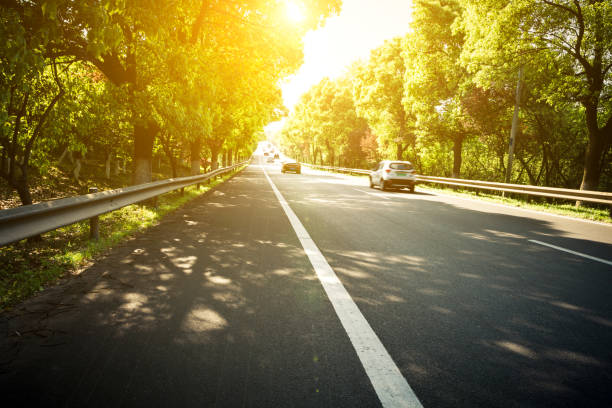 istock Summer Country Road 912837880
