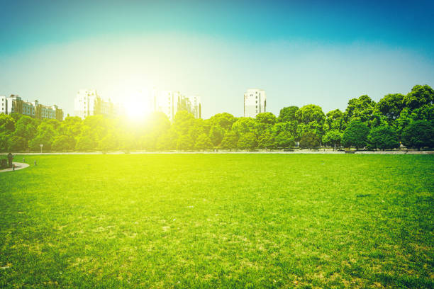 istock city and grass with blue sky 912838128