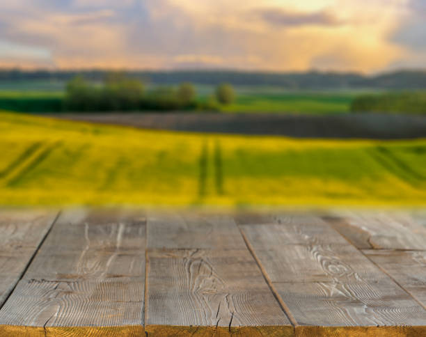 istock spring field blurred background of rural landscape  and desk 912842164