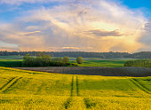rural landscape ,panorama of spring field