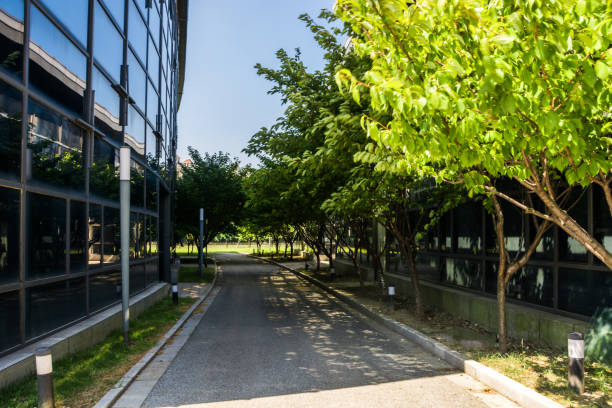 istock Modern office building with traffic in motion blur 912845706
