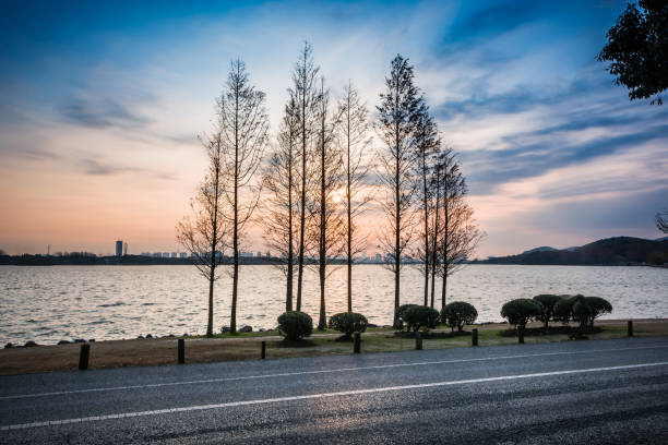 istock road near the lake 912846210