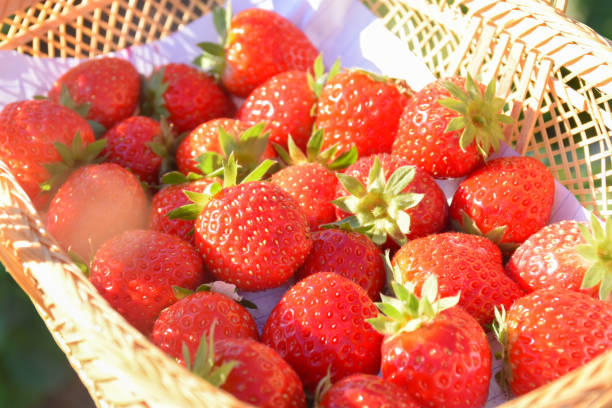 istock red strawberry on basket with morning light 912846526