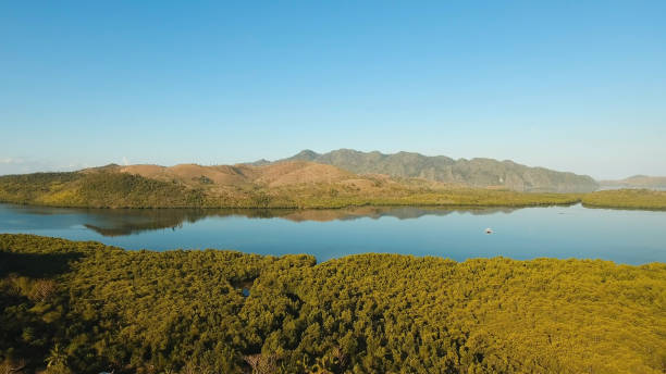 istock Tropical landscape, mountains, forest, bay. Busuanga, Palawan, Philippines 912849534