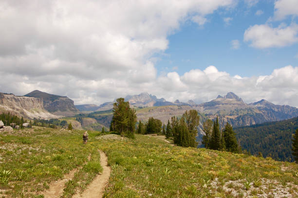 Backpackers on Teton Crest Trail stock photo