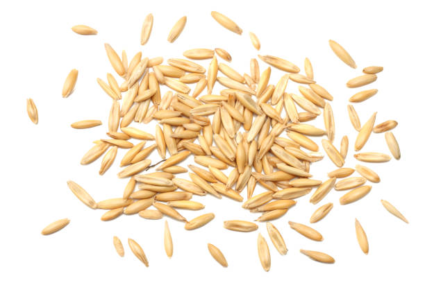 istock oat seeds isolated on white background top view 912853584