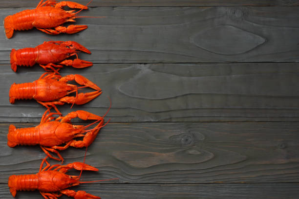 istock crawfish on dark wooden background with copy space. Beer brewery concept. Beer background 912853592