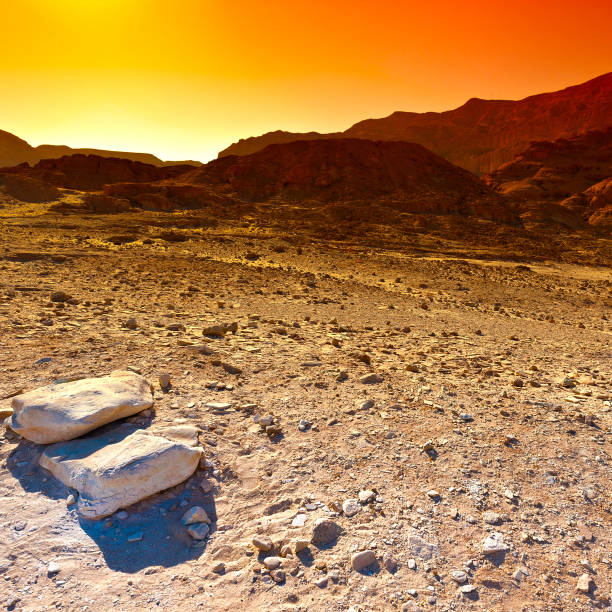 istock Colorful Desert in Israel. 912854880