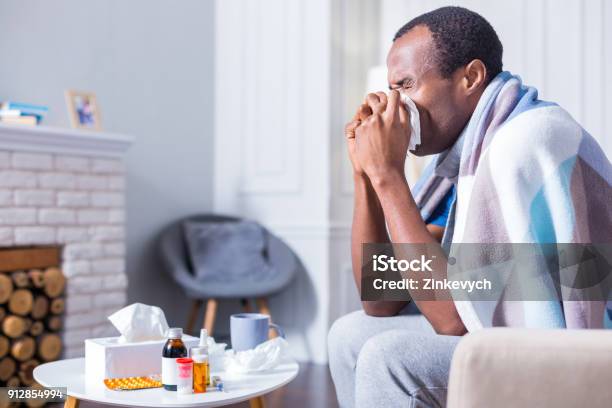 Nice Adult Man Sneezing Stock Photo - Download Image Now - Cold And Flu, Men, Illness