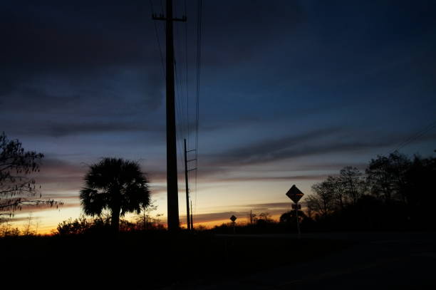 istock sunset in the swamps 912859046