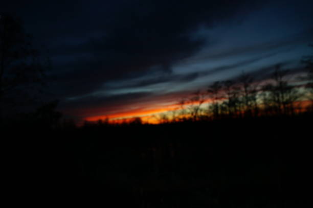 istock sunset in the swamps 912862168