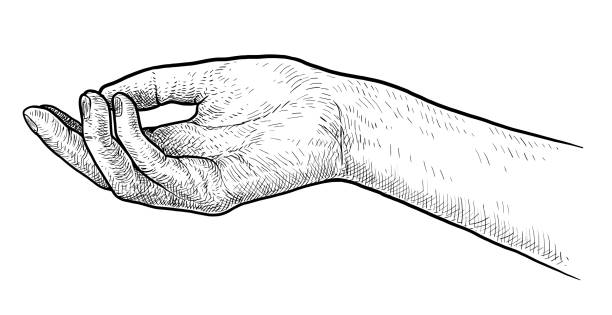 Palm up hand illustration, drawing, engraving, ink, line art, vector Illustration, what made by ink, then it was digitalized. open hand stock illustrations