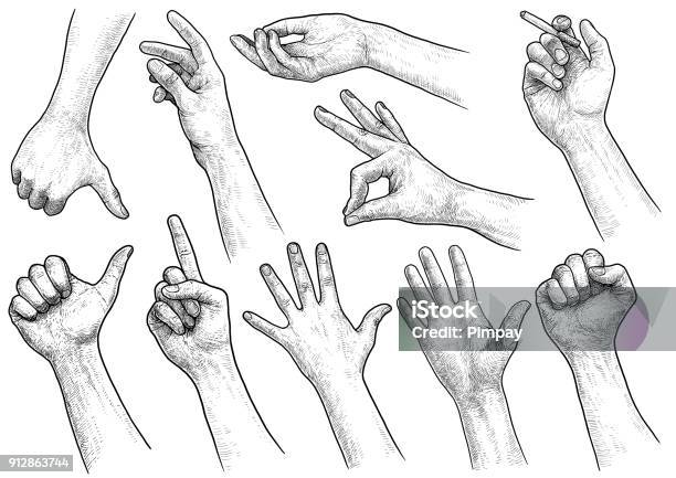 Hand Gesture Collection Illustration Drawing Engraving Ink Line Art Vector Stock Illustration - Download Image Now