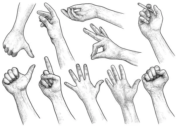 Vector illustration of Hand gesture collection illustration, drawing, engraving, ink, line art, vector