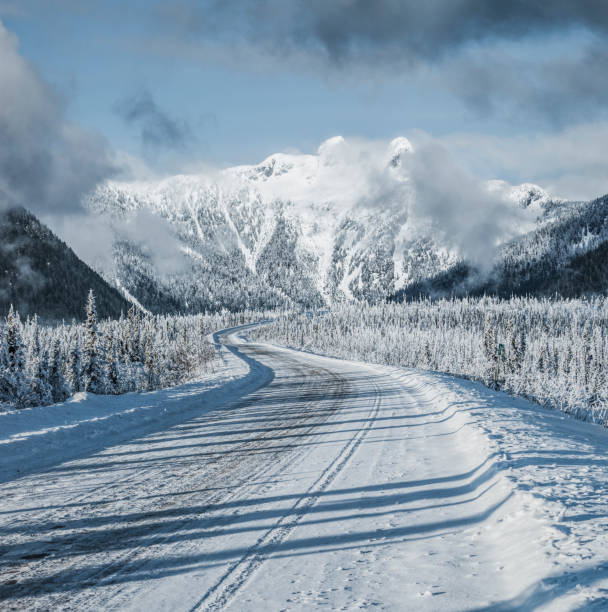 shot at Yukon,Canada.