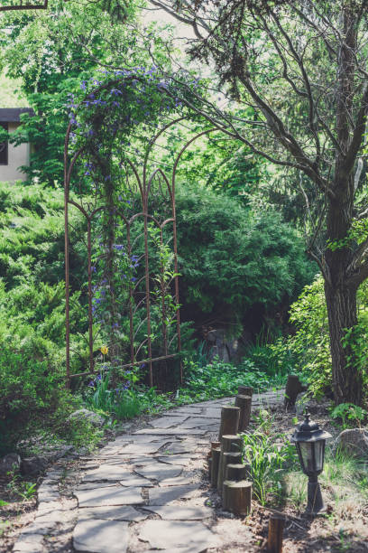 istock Landscape design, evergreen bushes and path 912872020