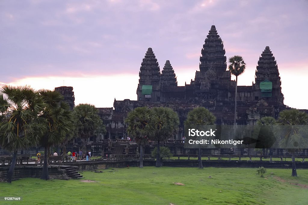 Angkor Wat - Photo de Aiguille - Partie d'une plante libre de droits