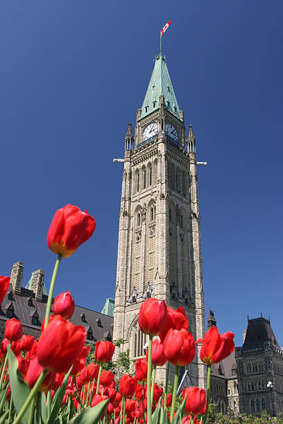 istock Peace Tower, Canadian Parliament 91287608