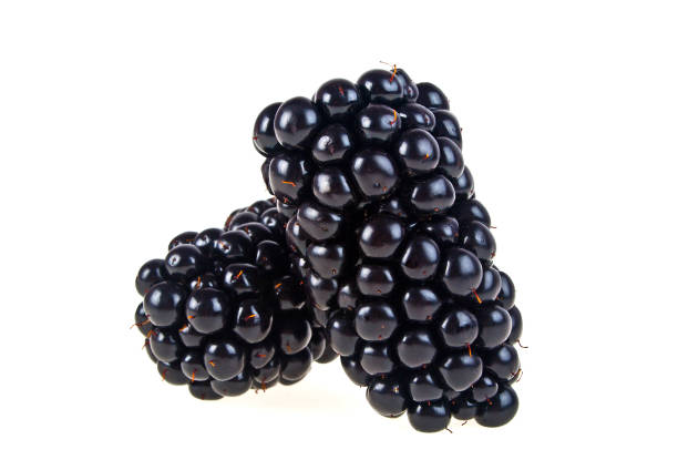 istock Fresh ripe blackberries isolated on a white background 912883172