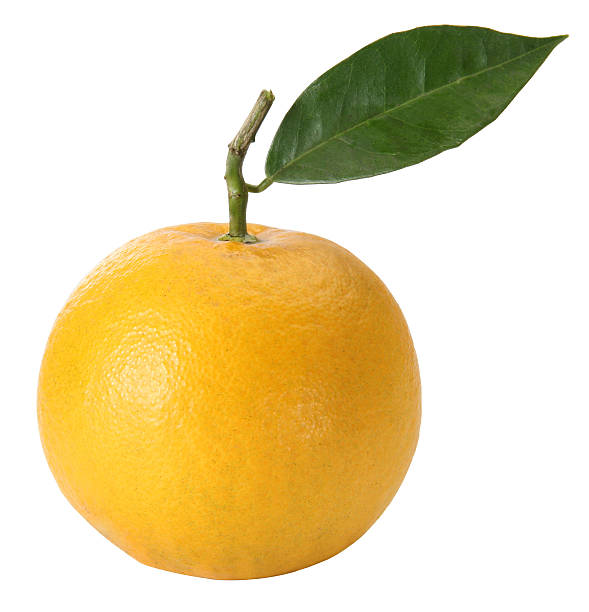 istock Fresh orange with  natural leaves 91288546