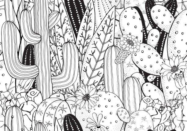 ilustrações, clipart, desenhos animados e ícones de preto e branco doodle padrão sem emenda com cactus. pera espinhosa, agave, saguaro, cacto florido. - agave cactus natural pattern pattern