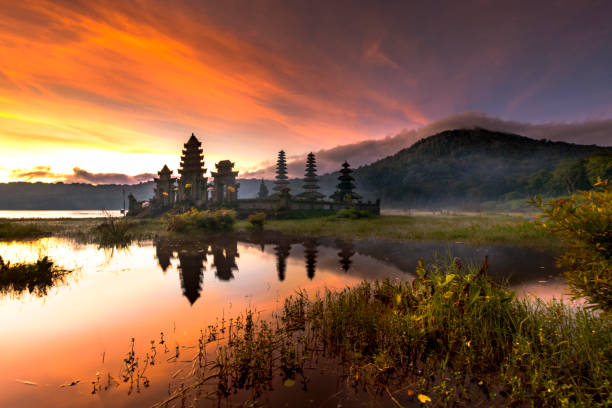 scenery of the mountainou, the fog and the temple in the morning