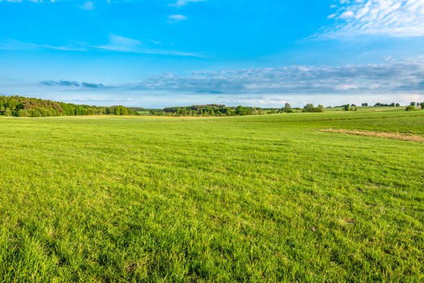 istock Green field and blue sky, grass in spring, landscape 912888758