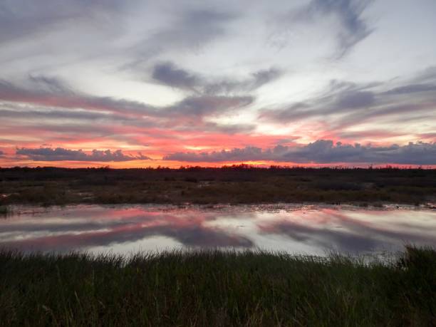 istock pink and orange swamp sunset 912889188