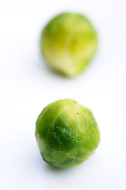 Brussel Sprout stock photo