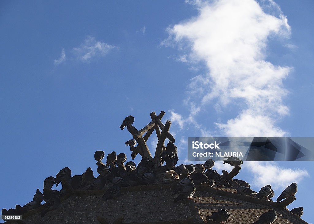 pigeons on the roof Architecture Stock Photo