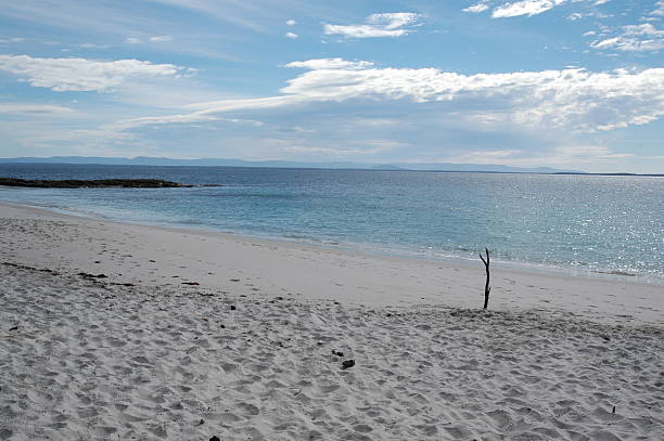 bâton dans le sable de la plage de la baie de jervis - jervis inlet photos et images de collection