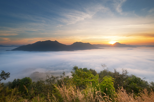 Misty landscape view on mountain in morning at view point of Phutok hill at ,Chiang Khan, Loei province, Thailand