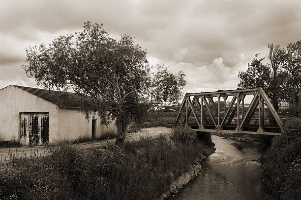 Puente ferroviario y house - foto de stock