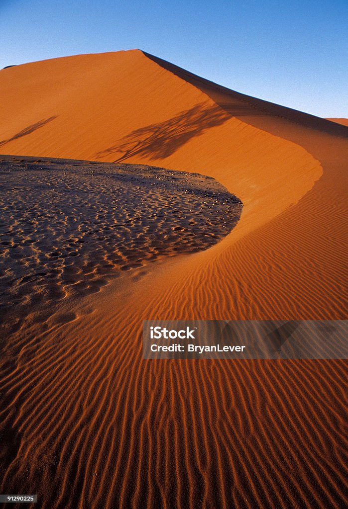 Sandune de Namibia - Foto de stock de Desierto libre de derechos