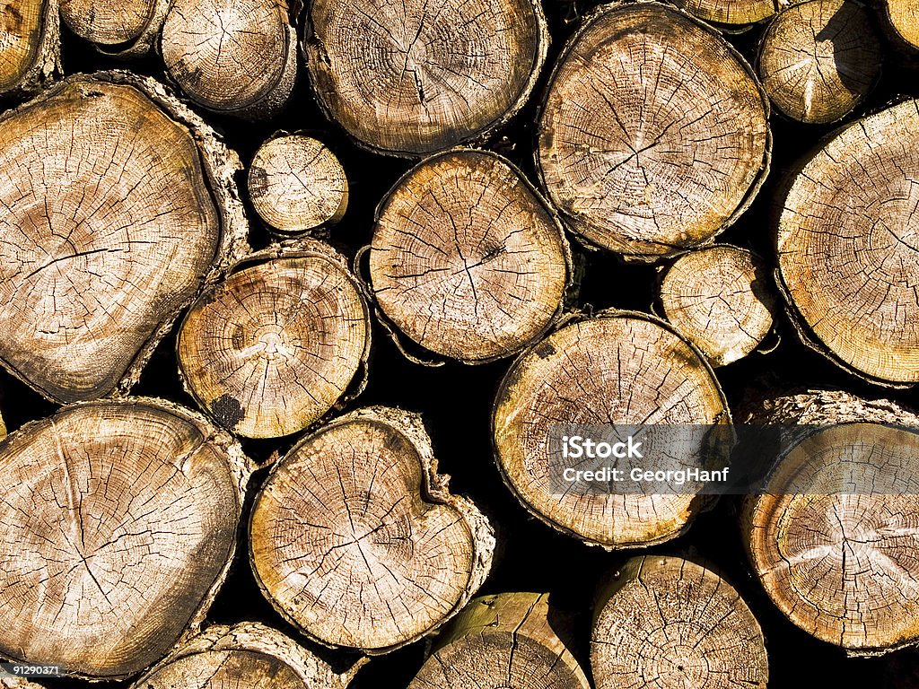 Old firewood  Circle Stock Photo