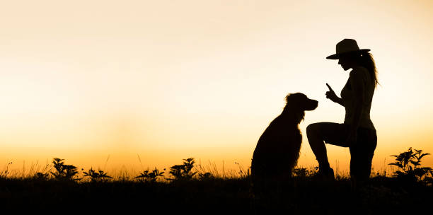istock Happy dog and his trainer 912910426