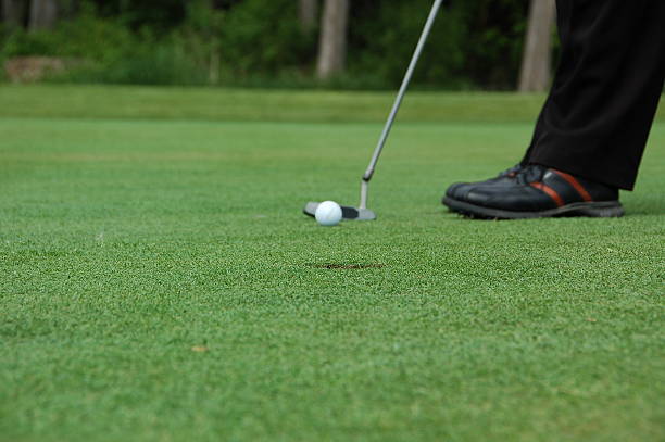 istock Golfer lining up a putt on the green. 91291103