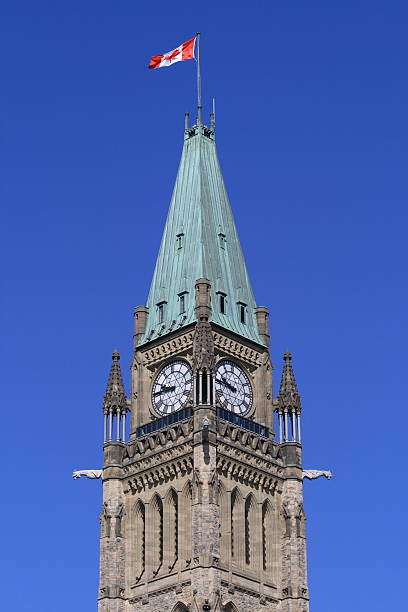 istock Proud Symbol of Canada 91291133