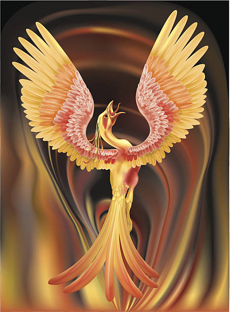 휘닉스 - china phoenix vector chinese culture stock illustrations