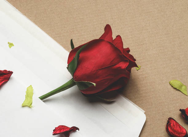 istock red rose in an envelope on a light brown background 912915110
