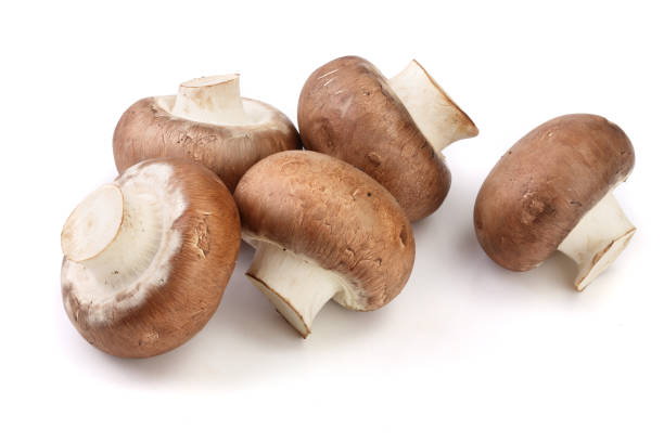 istock Royal Brown champignon isolated on white background 912919854