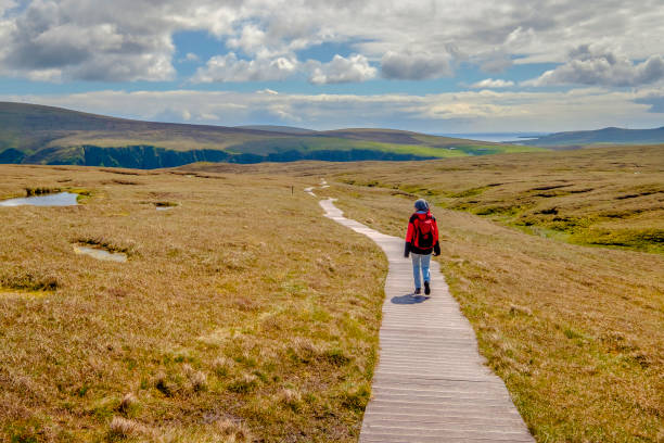 turysta w ogromnej prerii, która prowadzi do imponujących klifów hermaness national nature reserve, najbardziej na północ w wielkiej brytanii punkt położony na unst, szetlandy, szkocja. - shetland islands zdjęcia i obrazy z banku zdjęć