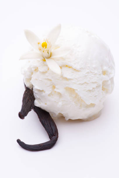 istock scoop of vanilla ice cream with a vanilla bean isolated on white background 912920308