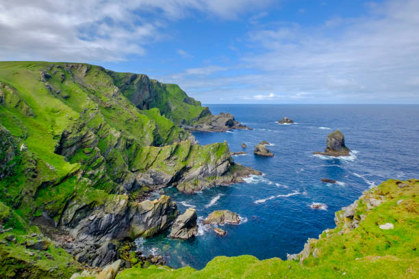 reserva de natureza nacional de hermaness, um ambiente dramático da falésia e um refúgio de milhares de aves marinhas; é o ponto mais setentrional da grã-bretanha, localizado na ilha de unst, ilhas shetland, escócia. - ocean cliff - fotografias e filmes do acervo