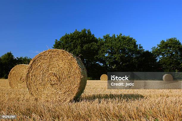 Hay Bales In Holstein Stock Photo - Download Image Now - Schleswig-Holstein, Wheat, Agriculture