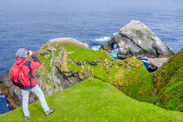 istock Birdwatching at the Hermaness National Nature Reserve, a dramatic cliff-top setting and a refuge of thousands of seabirds; it is the Britain's most northerly point, located on the island of Unst, Shetland Islands, Scotland. 912922864